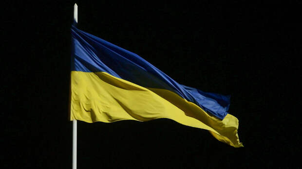 Украинцы попытались сорвать шествие "Бессмертного полка" в Нидерландах