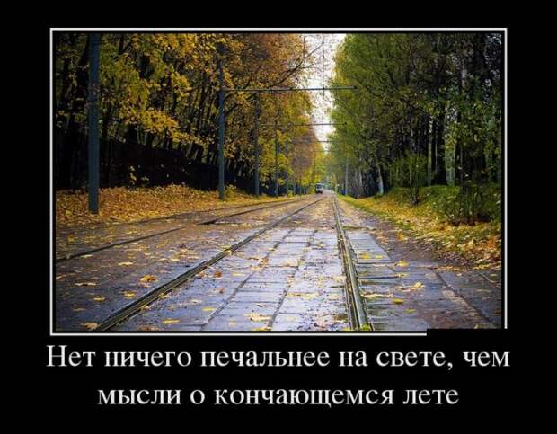 Демотиваторы (20 фото)