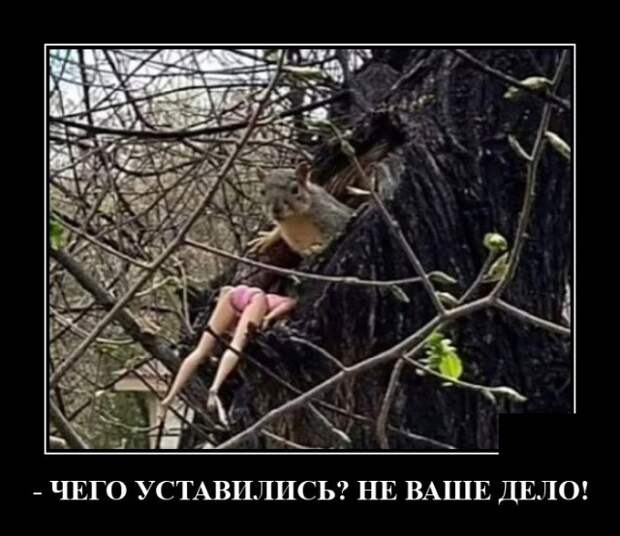 Демотиваторы 21 июня 2021