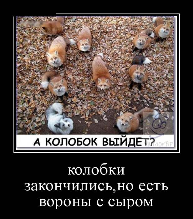 www.vsyako.net