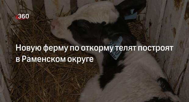 Новую ферму по откорму телят построят в Раменском округе