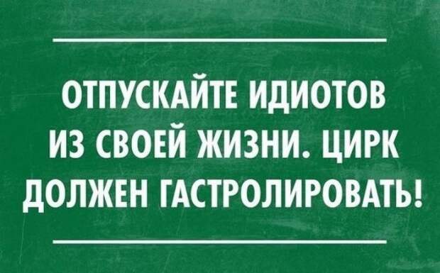 30 забавных открыток под настроение 30 забавных открыток под настроение