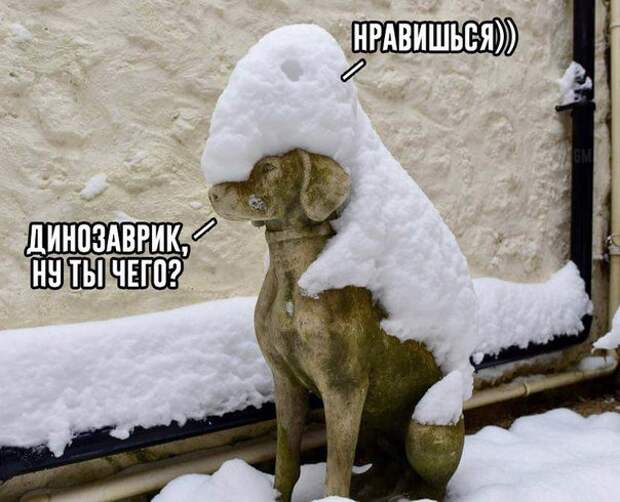 Пятничные похихитосы Пятничные похихитосы