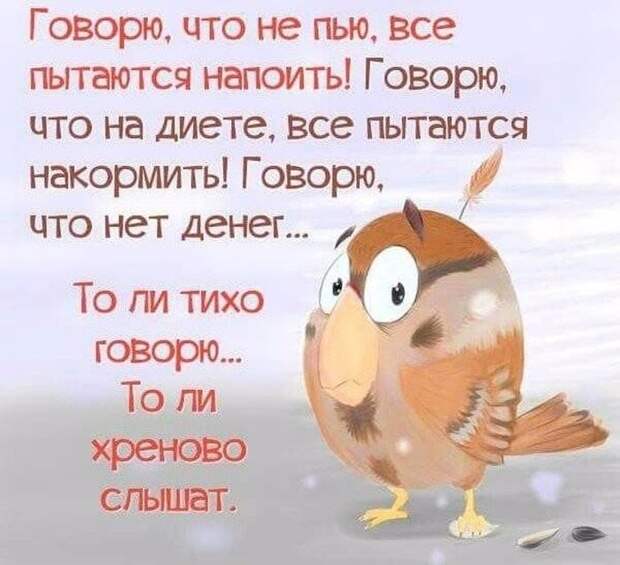 Сборник юмора для позитивного настроения