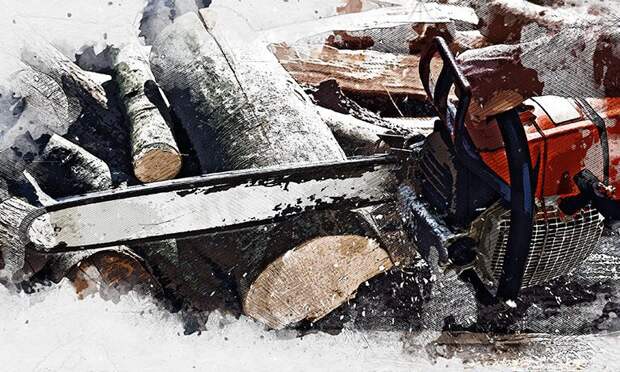 В администрации Орла потратят порядка 6 млн рублей на опиловку деревьев в 2026 году