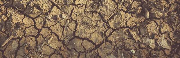 Сильную засуху прогнозируют в одном из районов Мангистауской области