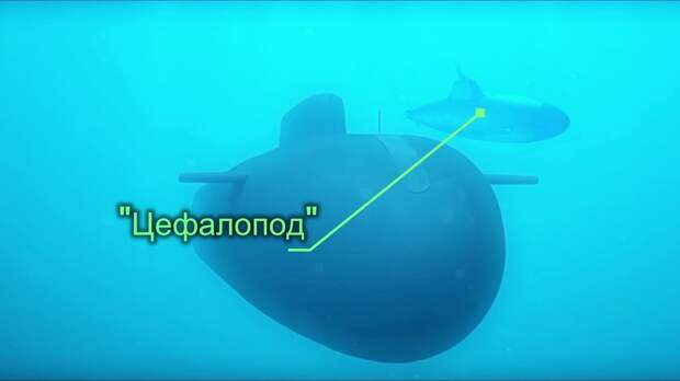Охотник за подлодками: американские СМИ испугались российского подводного дрона «Цефалопод» Охотник за подлодками: американские СМИ испугались российского подводного дрона «Цефалопод»