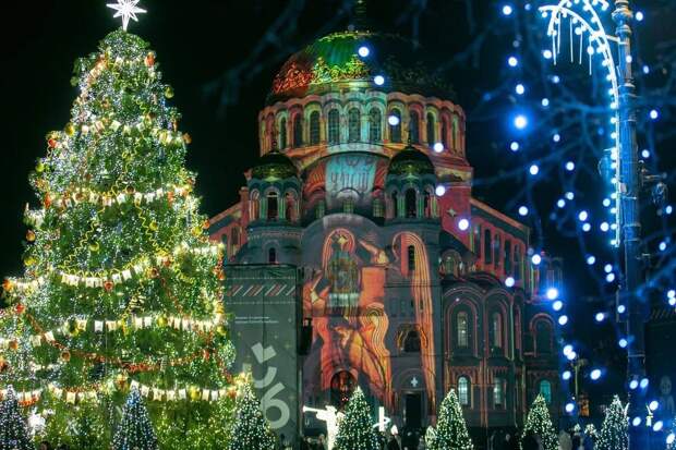 Ель из Кронштадта победила на всероссийском конкурсе