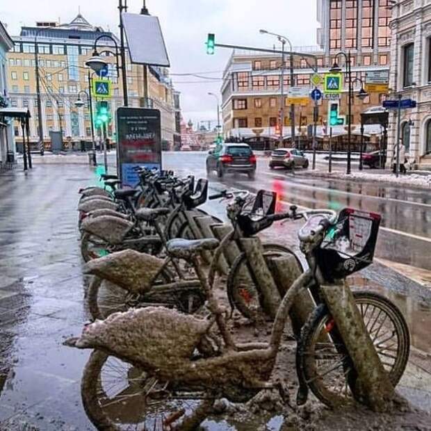Прикольные картинки Прикольные картинки