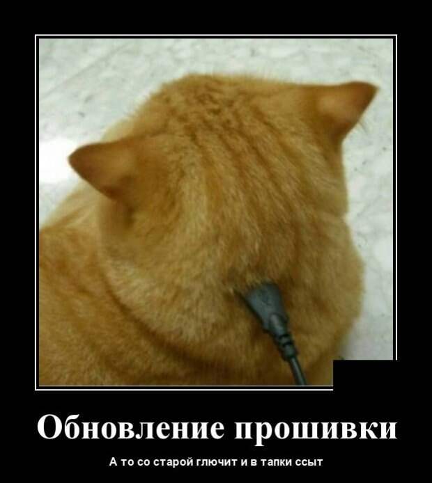 Демотиваторы
