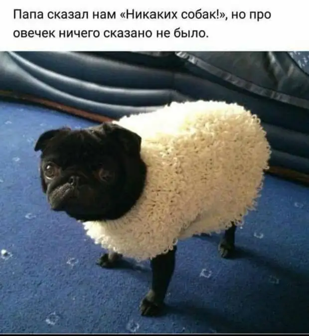 Если уж наломал дров, то сделай вид, что готовишься к зиме мужчин, такой, Проблема, мнению, положенииМоя, ванной Дайте, точку, опоры, любом, очень, бабушка, былоHа, любит, пересматривать, детские, шепча, падлюка, нашей, бесчеловечно, Бухгалтер
