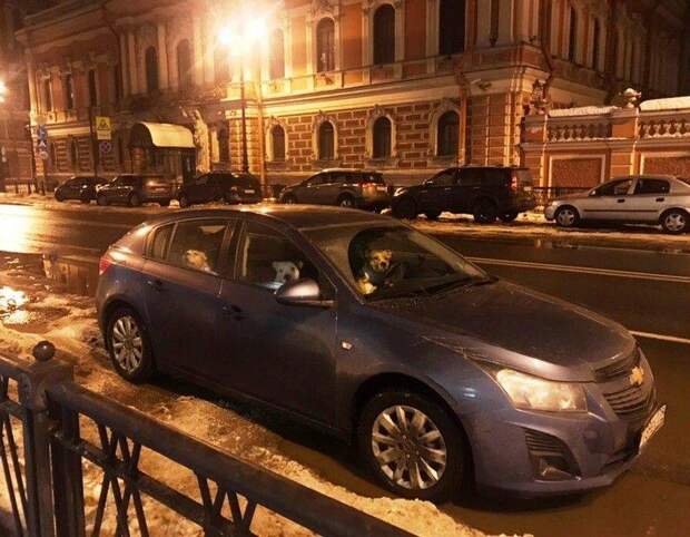 Подборка прикольных картинок