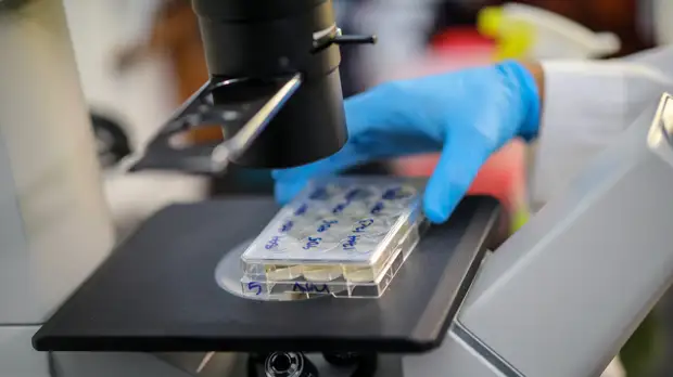 В Приморье восемь школ закрыли на карантин из-за коронавируса