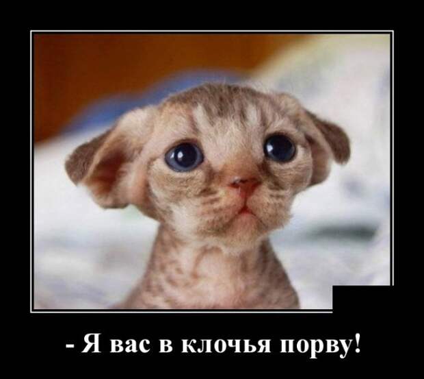 Демотиваторы