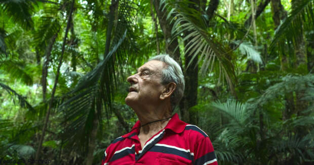 За 40 лет этот бразилец вырастил 31 га тропических лесов на пустом месте