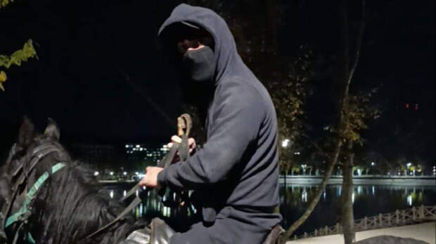 Неизвестные на лошадях избили пенсионеров плетью в Кисловодске