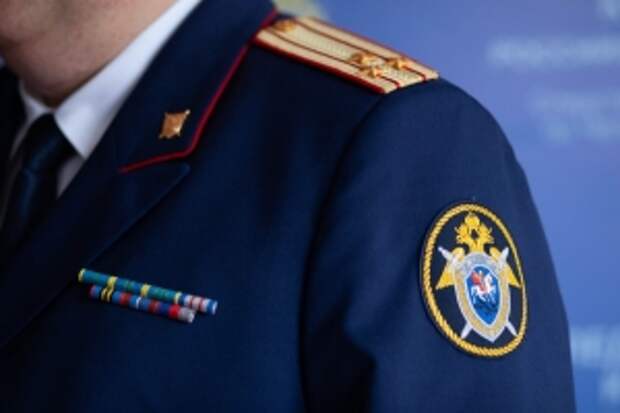 Главе ведомства будет представлен доклад об обстоятельствах травмирования несовершеннолетней в результате катания на тюбинге в Челябинской области