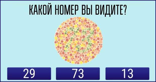 Этот визуальный тест поможет определить к какому типу людей вы относитесь