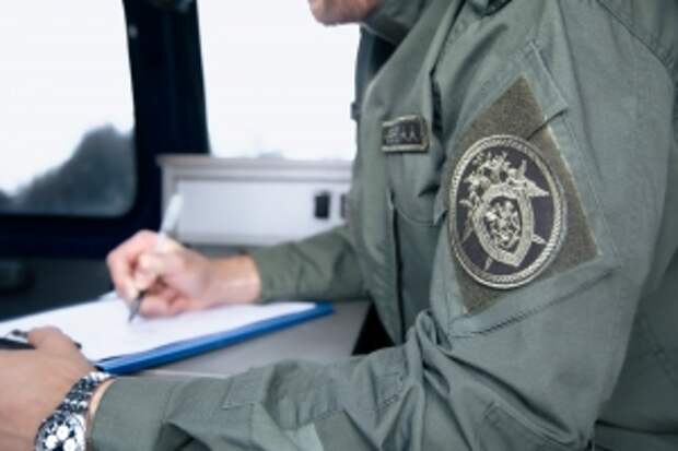 В Новгородской области следствие продолжает устанавливать законность передачи под опеку малолетней девочки