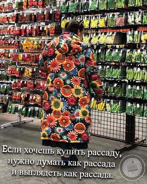 Ecли хочешь купить рассаду, нужно дyмать как рассада и выглядеть как рассада.