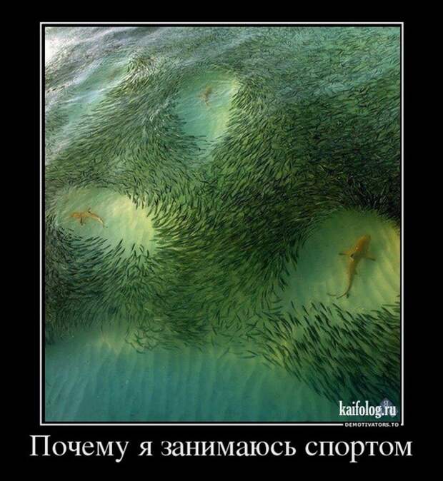 Демотиваторы про спорт (55 фото)