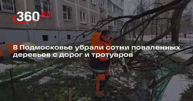 В Подмосковье убрали сотни поваленных деревьев с дорог и тротуаров