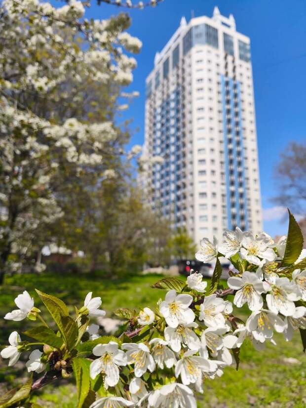 Добрый вечер