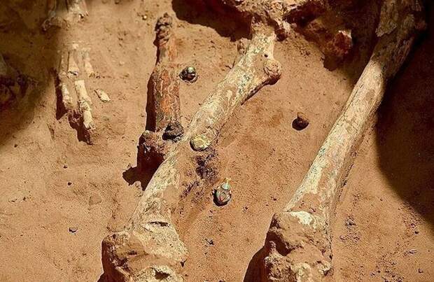 Астраханский фермер обнаружил на своем участке 2000-летнее захоронение с драгоценностями Археология, Находка, Длиннопост, Астрахань