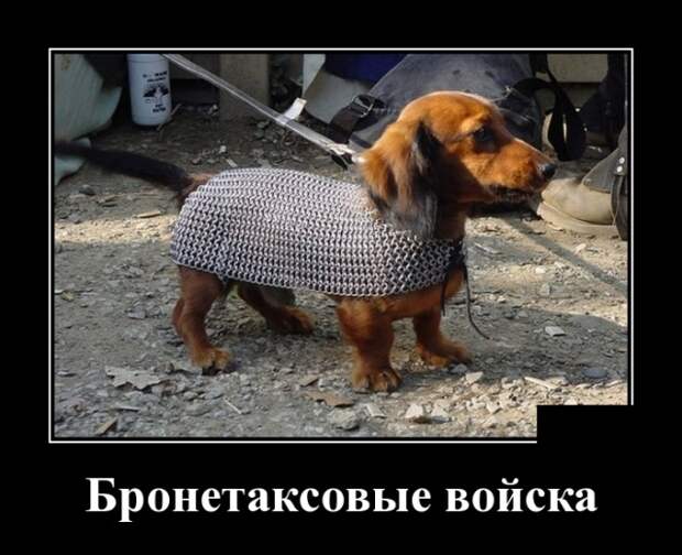 www.vsyako.net