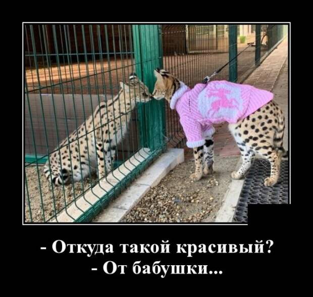 Демотиваторы (30 фото)