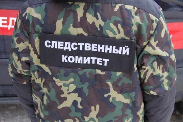 Под Рязанью взрослый мужчина совратил 14-летнюю девочку