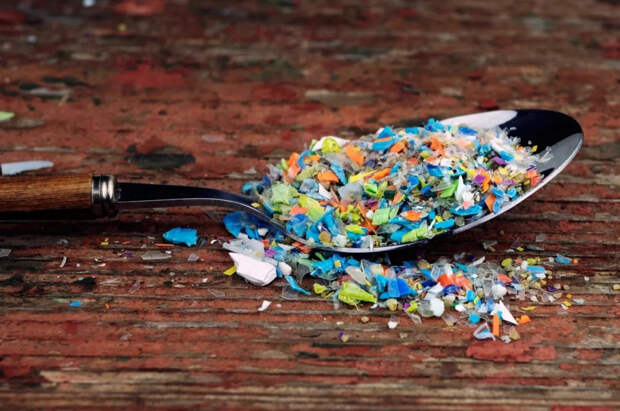 BMC: микропластик из бутылок может повреждать поджелудочную железу