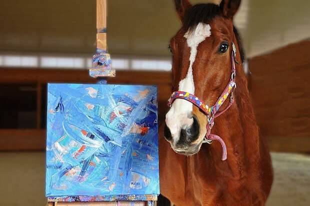 За несколько лет картины коня были проданы принесли его хозяину 160 тысяч долларов! ФОТО paintedbymetro.com