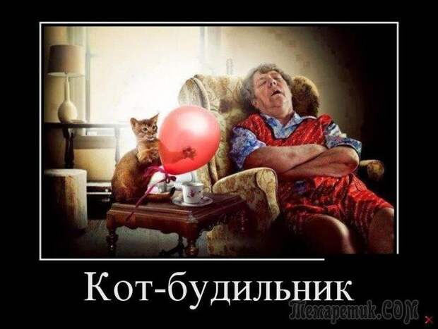Смешные открытки с философские уклоном