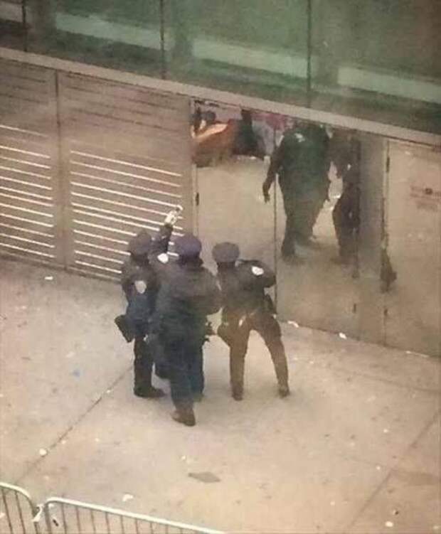 Прикольные картинки Прикольные картинки