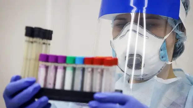 Уровень коллективного иммунитета к COVID-19 в Подмосковье составляет 72,5%