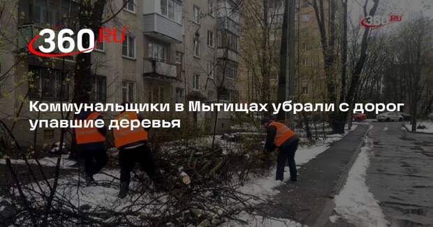 Коммунальщики в Мытищах убрали с дорог упавшие деревья