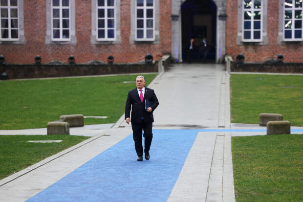 Трамп назвал ненавистника Зеленского своим настоящим другом