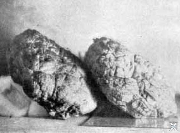 Кремниевый артефакт (слева) и настоящ...