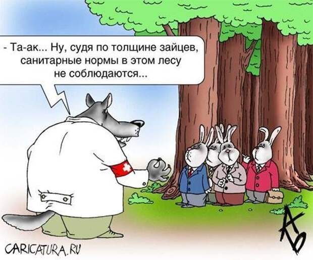 Животный юмор животные в юморе ., карикатуры, рисунки, юмор