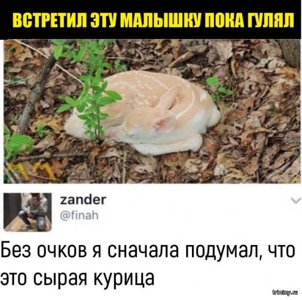 www.vsyako.net