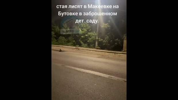 Video: Клип @donetskdnr_vk