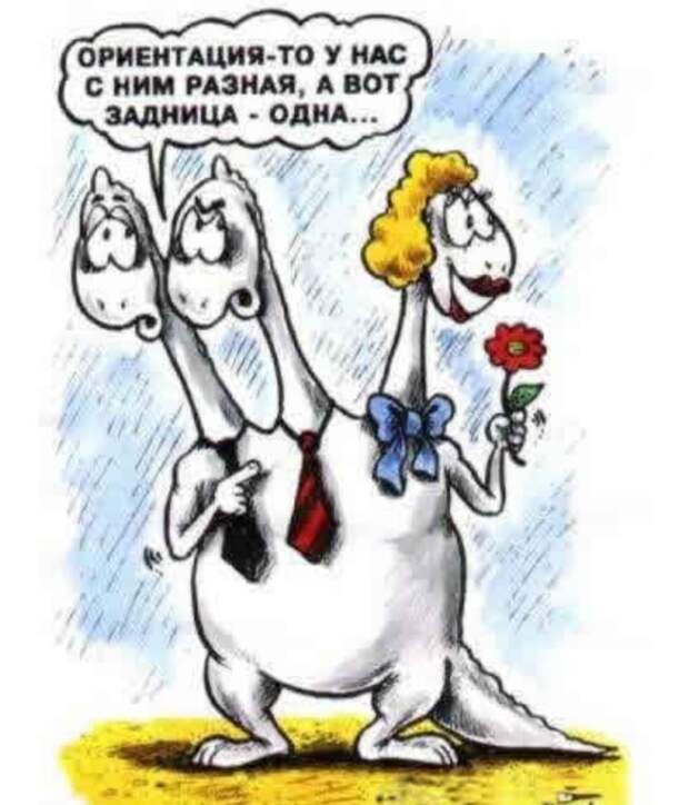 Животный юмор животные в юморе ., карикатуры, рисунки, юмор
