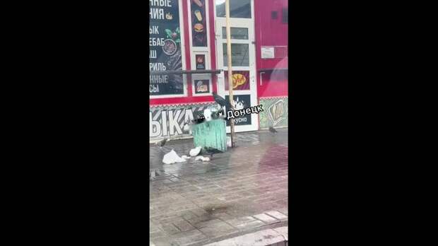 Video: com.bongasoft.addremovewatermark_IMG_4709.MOV