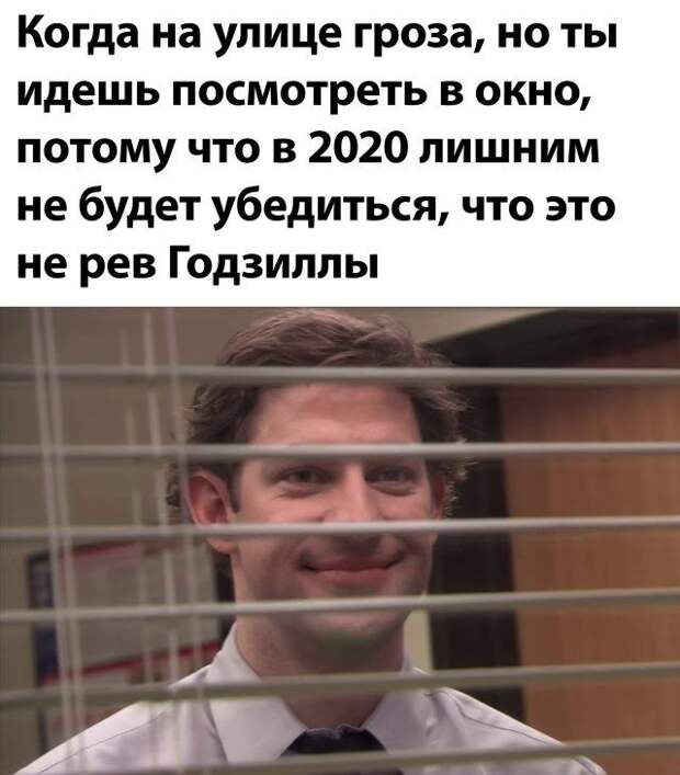 Подборка картинок дня