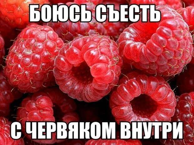 YQd8C8F5CNQ