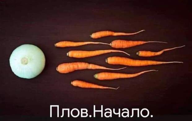 Поварское Поварское