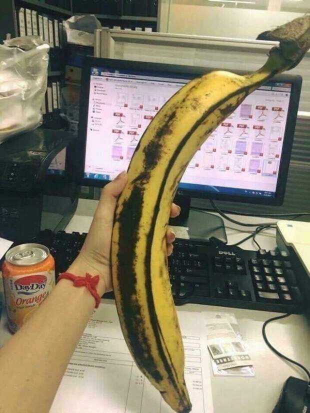 Самые необычные бананы мира