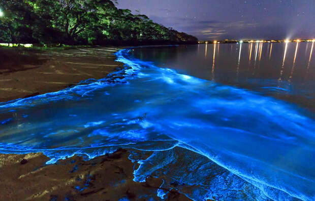Ваадху, Мальдивские острова В водах вблизи острова обитают одноклеточные динофлагелляты. Механические силы волн вызывают у них электроимпульс, запускающий биолюминесцентную реакцию, в результате которой в темное время вода испускает голубоватый свет.