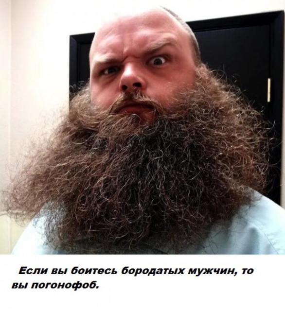 Самые бесполезные факты о которых вы не знали